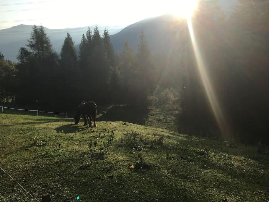 Green Mountain Retreat Fliess Εξωτερικό φωτογραφία